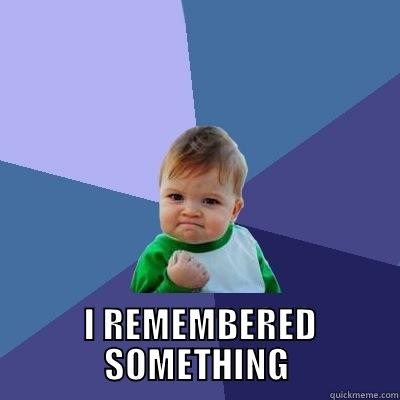   I REMEMBERED SOMETHING Success Kid