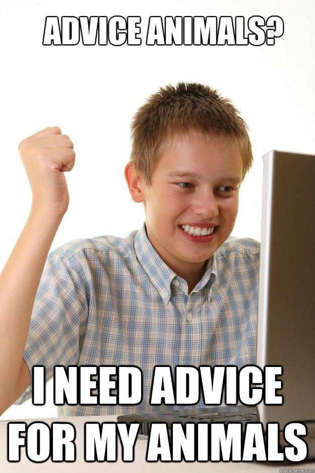 Advice animals? I need advice for my animals  first time internet kid