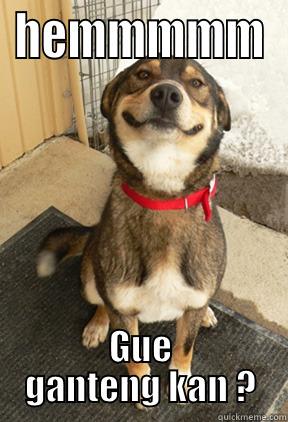 HEMMMMM GUE GANTENG KAN ? Good Dog Greg