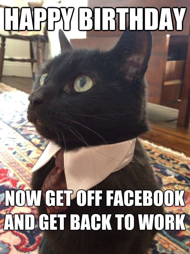 Happy birthday now get off facebook and get back to work
  Business Cat
