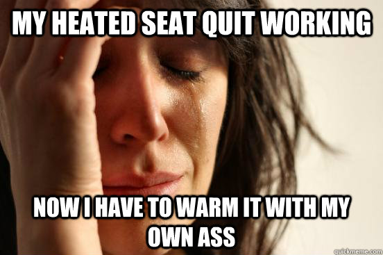 My heated seat quit working now i have to warm it with my own ass  First World Problems