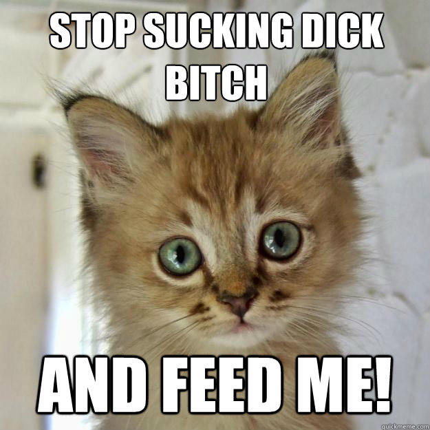 stop sucking dick bitch and feed me!  Foobar