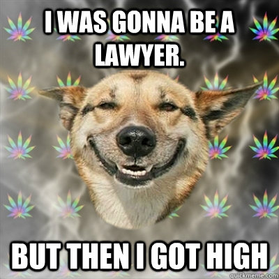 I was gonna be a lawyer. But then i got high  Stoner Dog