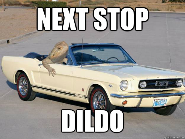 Next stop Dildo
  Pickup Dragon