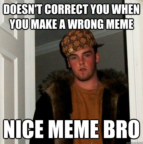 doesn't correct you when you make a wrong meme nice meme bro  Scumbag Steve
