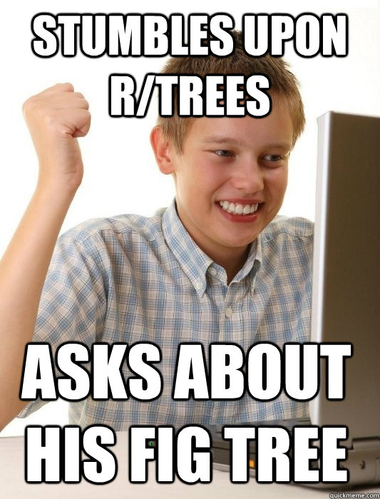 stumbles upon r/trees asks about his fig tree  First Day on the Internet Kid