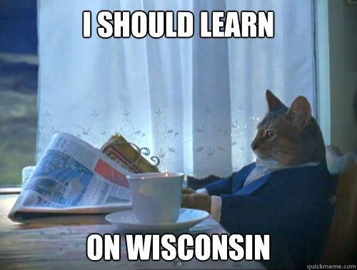I should learn On wisconsin  The One Percent Cat