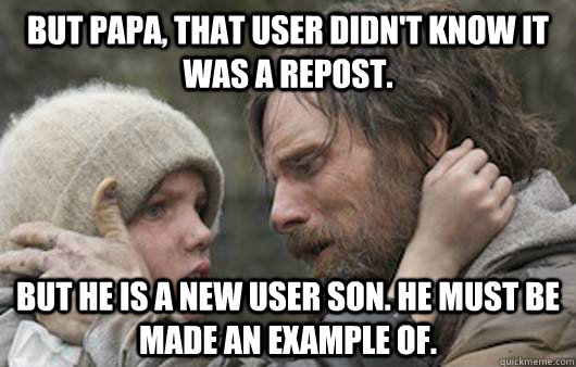 But papa, that user didn't know it was a repost. But he is a new user son. He must be made an example of.  Viggo Explains Reddit