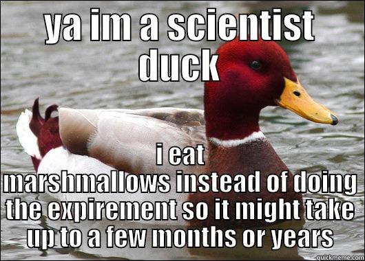 If the marshmallow is launched at 45 degrees then it will go furthest, because if is was on 90 degrees then is will immediately start to go down and at 15 it will just go up but at 45 degrees it will go out for distance and up so it doesn't immediately go - YA IM A SCIENTIST DUCK I EAT MARSHMALLOWS INSTEAD OF DOING THE EXPIREMENT SO IT MIGHT TAKE UP TO A FEW MONTHS OR YEARS Malicious Advice Mallard