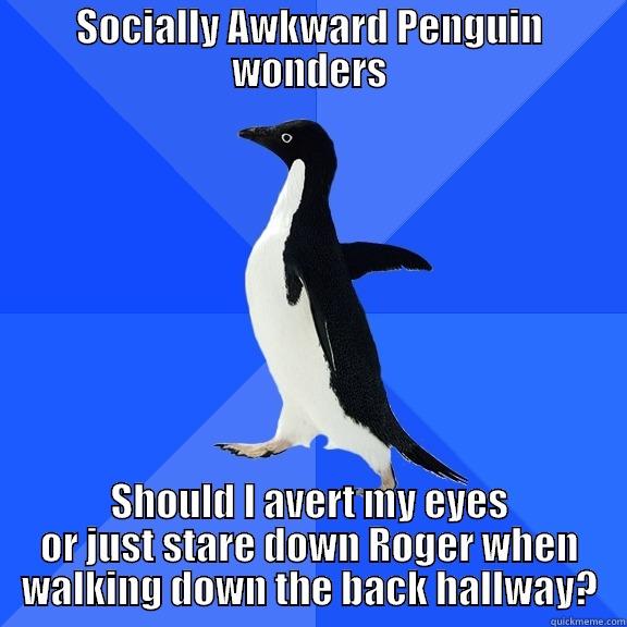 SOCIALLY AWKWARD PENGUIN WONDERS SHOULD I AVERT MY EYES OR JUST STARE DOWN ROGER WHEN WALKING DOWN THE BACK HALLWAY? Socially Awkward Penguin
