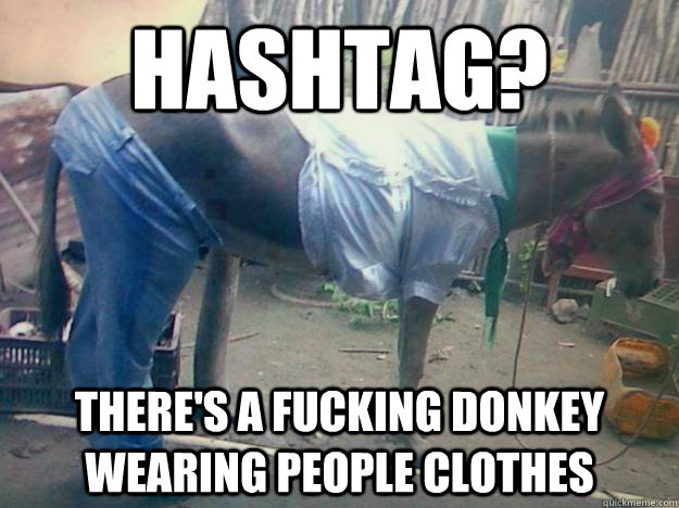 Hashtag? There's a fucking donkey wearing people clothes  Do these pants