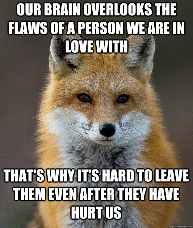 our brain overlooks the flaws of a person we are in love with that's why it's hard to leave them even after they have hurt us - our brain overlooks the flaws of a person we are in love with that's why it's hard to leave them even after they have hurt us  Fun Fact Fox