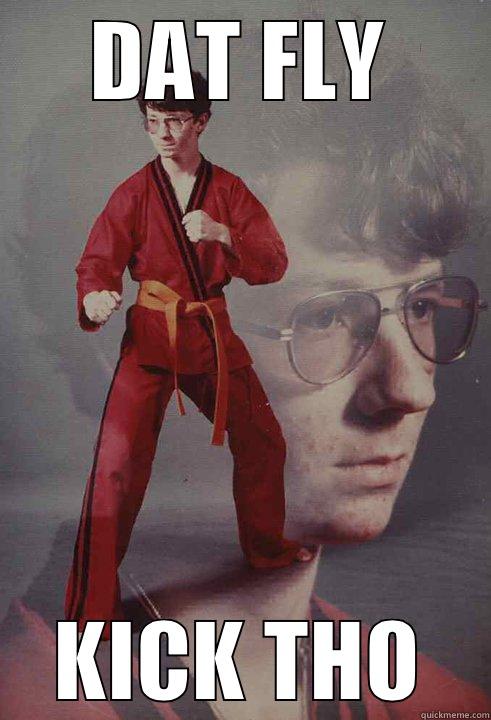 DAT FLY KICK THO Karate Kyle