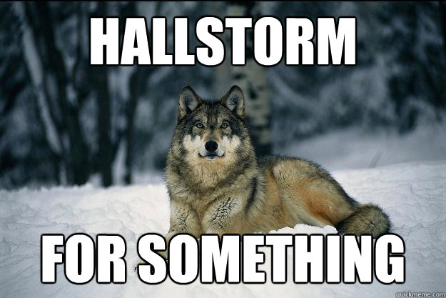 HALLSTORM FOR SOMETHING  Wolf
