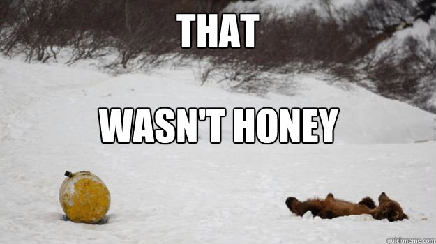 That wasn't honey - That wasn't honey  10 Bear