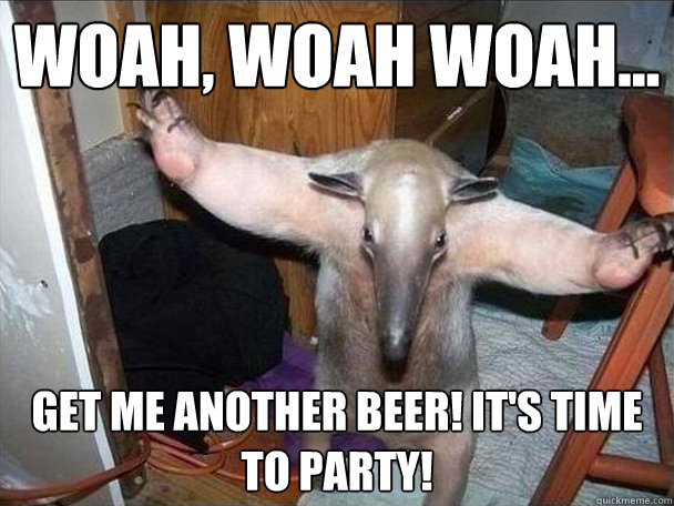 Woah, woah woah... get me another beer! it's time to party!  I got this