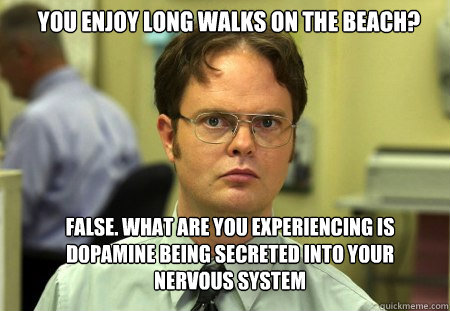 You enjoy long walks on the beach? false. what are you experiencing is dopamine being secreted into your nervous system  Schrute