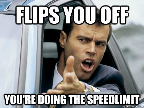 flips you off you're doing the speedlimit  Asshole driver
