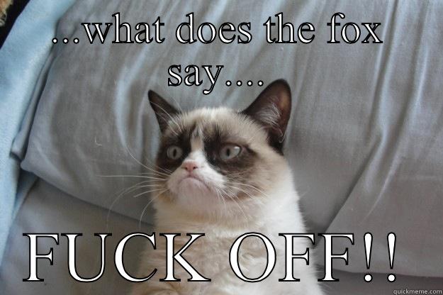 ...WHAT DOES THE FOX SAY.... FUCK OFF!! Grumpy Cat
