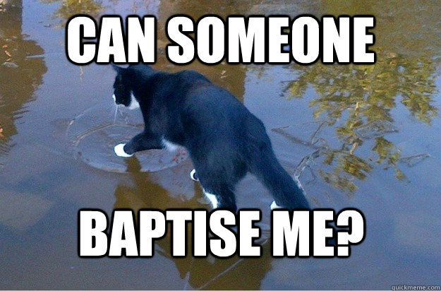 CAN someone Baptise me?  Jesus Cat