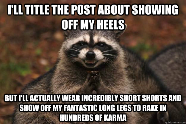 I'll title the post about showing off my heels But i'll actually wear incredibly short shorts and show off my fantastic long legs to rake in hundreds of karma - I'll title the post about showing off my heels But i'll actually wear incredibly short shorts and show off my fantastic long legs to rake in hundreds of karma  Evil Plotting Raccoon