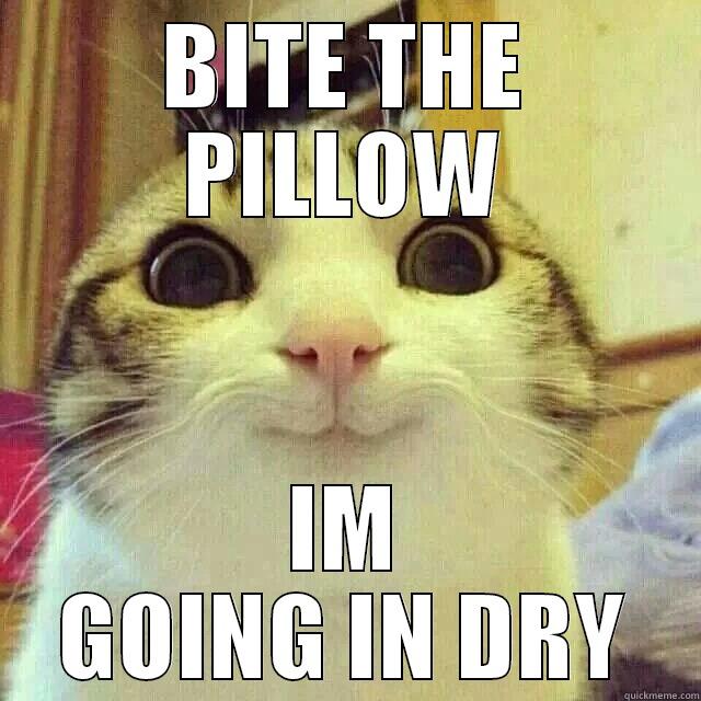 BITE THE PILLOW IM GOING IN DRY Misc