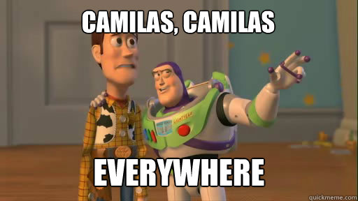 Camilas, camilas everywhere  Everywhere