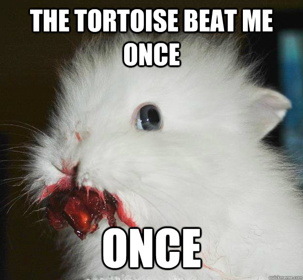 The tortoise beat me once once  