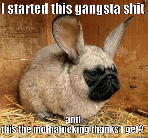I STARTED THIS GANGSTA SHIT  AND THIS THE MOTHAFUCKING THANKS I GET?  Misc
