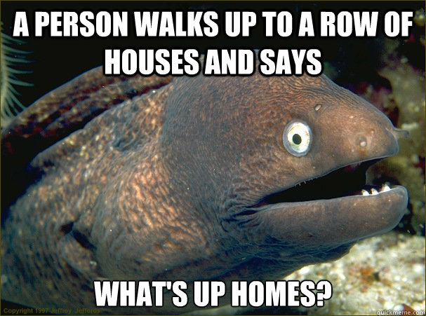 A person walks up to a row of houses and says what's up homes? - A person walks up to a row of houses and says what's up homes?  Bad Joke Eel