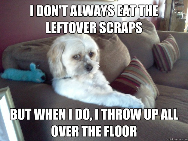 I don't always eat the leftover scraps but when I do, I throw up all over the floor - I don't always eat the leftover scraps but when I do, I throw up all over the floor  Worry Mutt