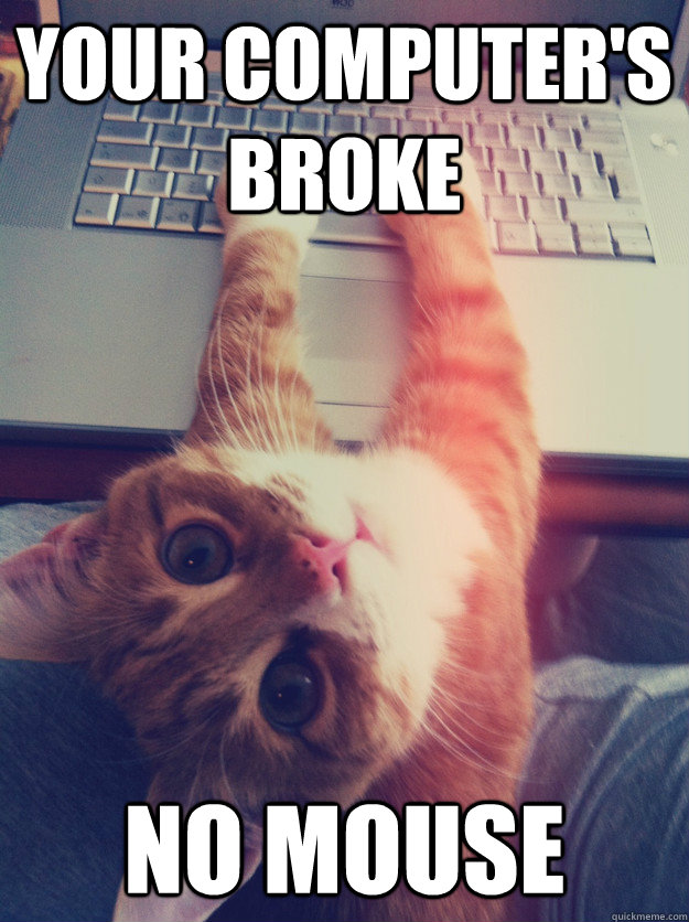 Your computer's broke No mouse - Your computer's broke No mouse  Programmer Cat