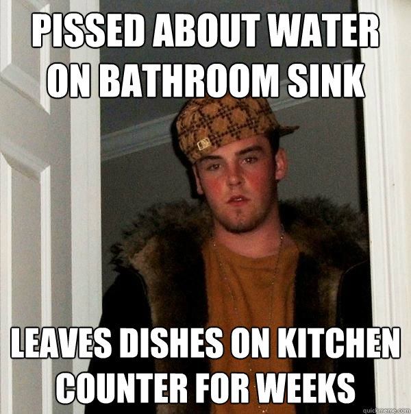 Pissed about water on bathroom sink leaves dishes on kitchen counter for weeks  Scumbag Roommate