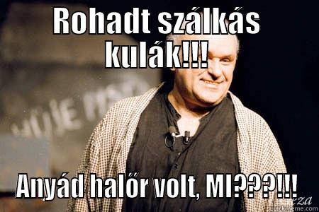ROHADT SZÁLKÁS KULÁK!!! ANYÁD HALŐR VOLT, MI???!!! Misc