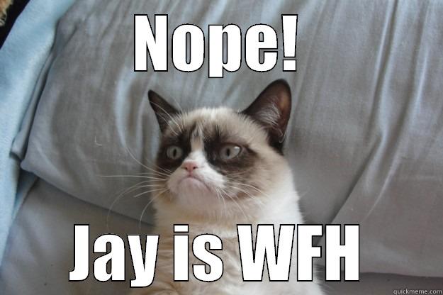 NOPE! JAY IS WFH Grumpy Cat