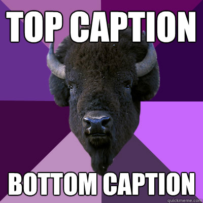 Top caption Bottom caption  Band Buffalo