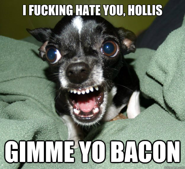 I fucking hate you, Hollis gimme yo BACON  Chihuahua Logic