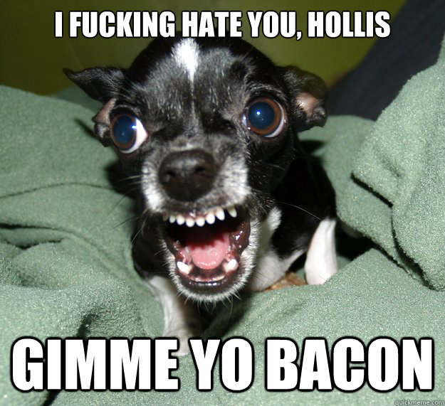 I fucking hate you, Hollis gimme yo BACON - I fucking hate you, Hollis gimme yo BACON  Chihuahua Logic