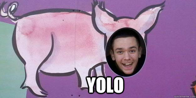 Yolo  - Yolo   yolo pig