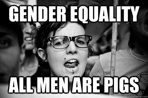 Gender equality All men are pigs  Hypocrite Feminist