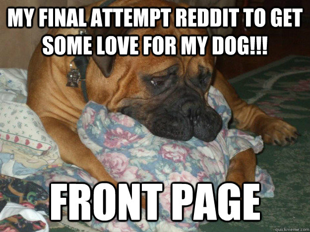 my final attempt reddit to get some love for my dog!!! front page  Sad Dog