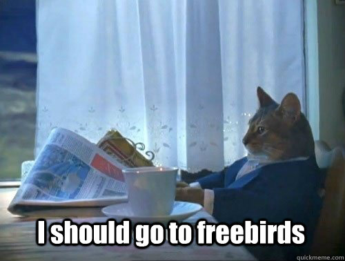 I should go to freebirds - I should go to freebirds  Fancy Cat