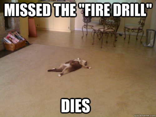 Missed the 