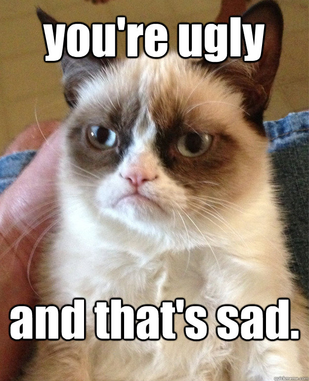 you're ugly and that's sad. - you're ugly and that's sad.  Grumpy Cat