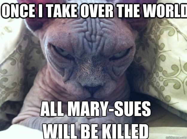 ONCE I TAKE OVER THE WORLD All Mary-Sues 
will be killed  Sinister Cat
