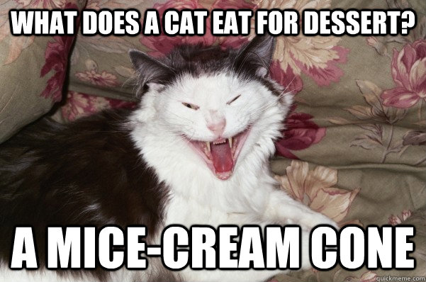 What does a cat eat for dessert? A Mice-Cream cone  Bad Joke Cat