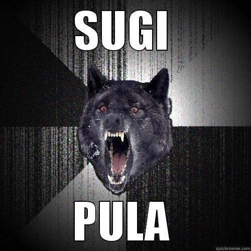 SUGI PULA Insanity Wolf