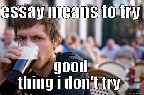 ESSAY MEANS TO TRY  GOOD THING I DON'T TRY  Lazy College Senior