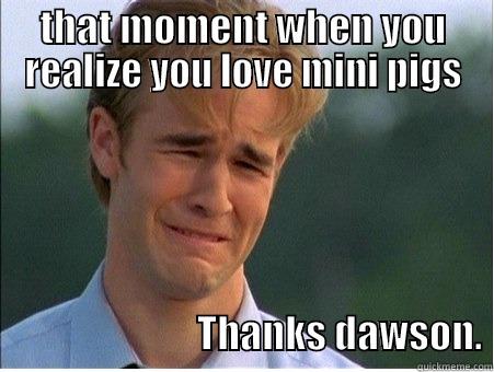 That moment when you realize you love mini pigs - THAT MOMENT WHEN YOU REALIZE YOU LOVE MINI PIGS                                                                                                                                                                                                                                                                 1990s Problems