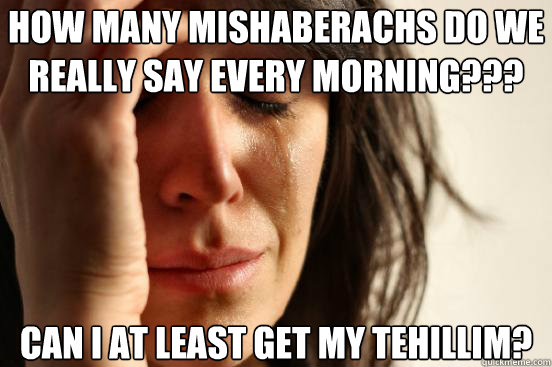 How many Mishaberachs do we really say every morning??? Can i at least get my Tehillim?  First World Problems